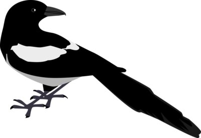 zeimusu Magpie 2