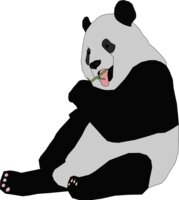 Machovka panda