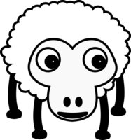 sheep001