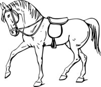 warszawianka Walking horse outline 1