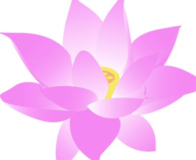 lotus fleur