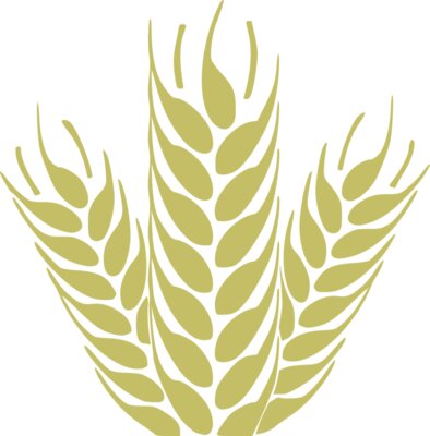wheat1