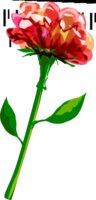 hrum red flower