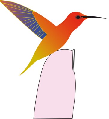 hummingbird