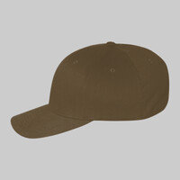 Flexfit fitted baseball cap (6277)
