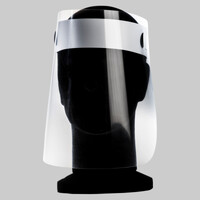 APET Face Shield