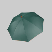 Auto open wooden umbrella