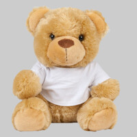 Bear in a t-shirt