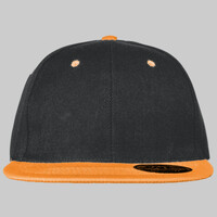 The classic snapback 2-tone  (6089MT)