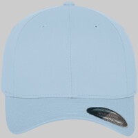 Flexfit fitted baseball cap (6277)