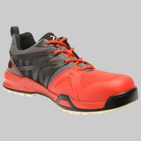 TT Mortify trainers